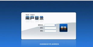 西安千度软件开发公司 卓越信息技术咨询服务的引领者